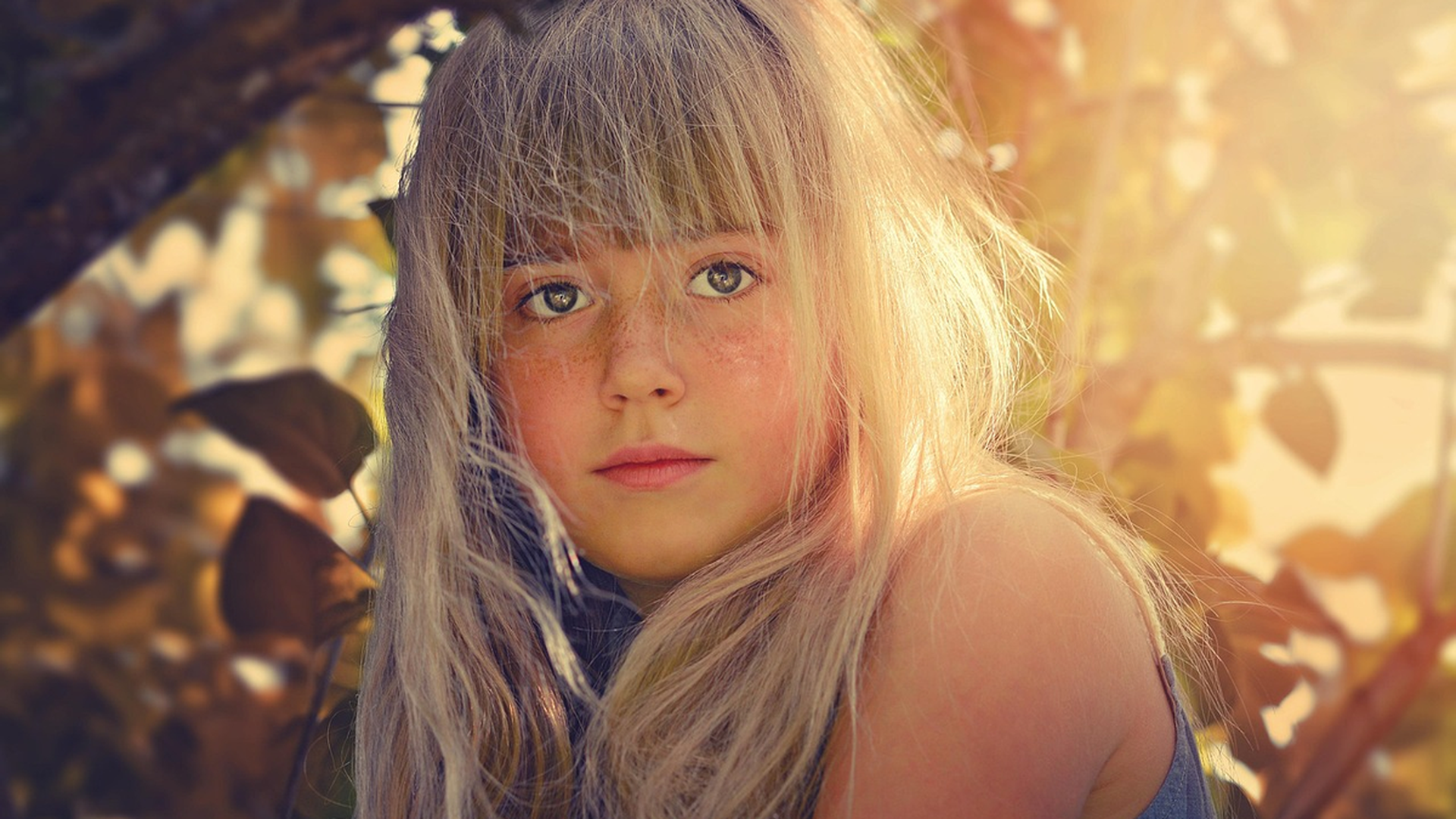 Close-up of a child with long blonde hair where a parent might check for a lice egg