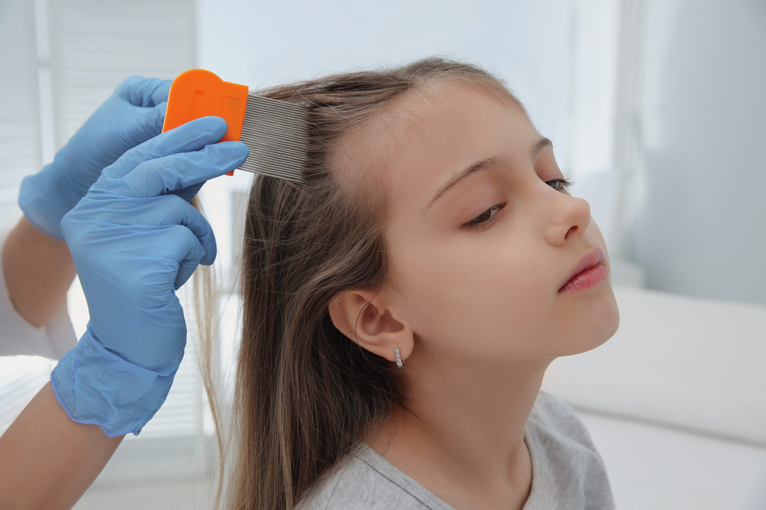 Adult inspecting a child's hair with a fine-tooth nit comb during a post-treatment lice check at a clinic