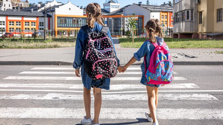 Missing a School Day Does Nothing to Head Lice