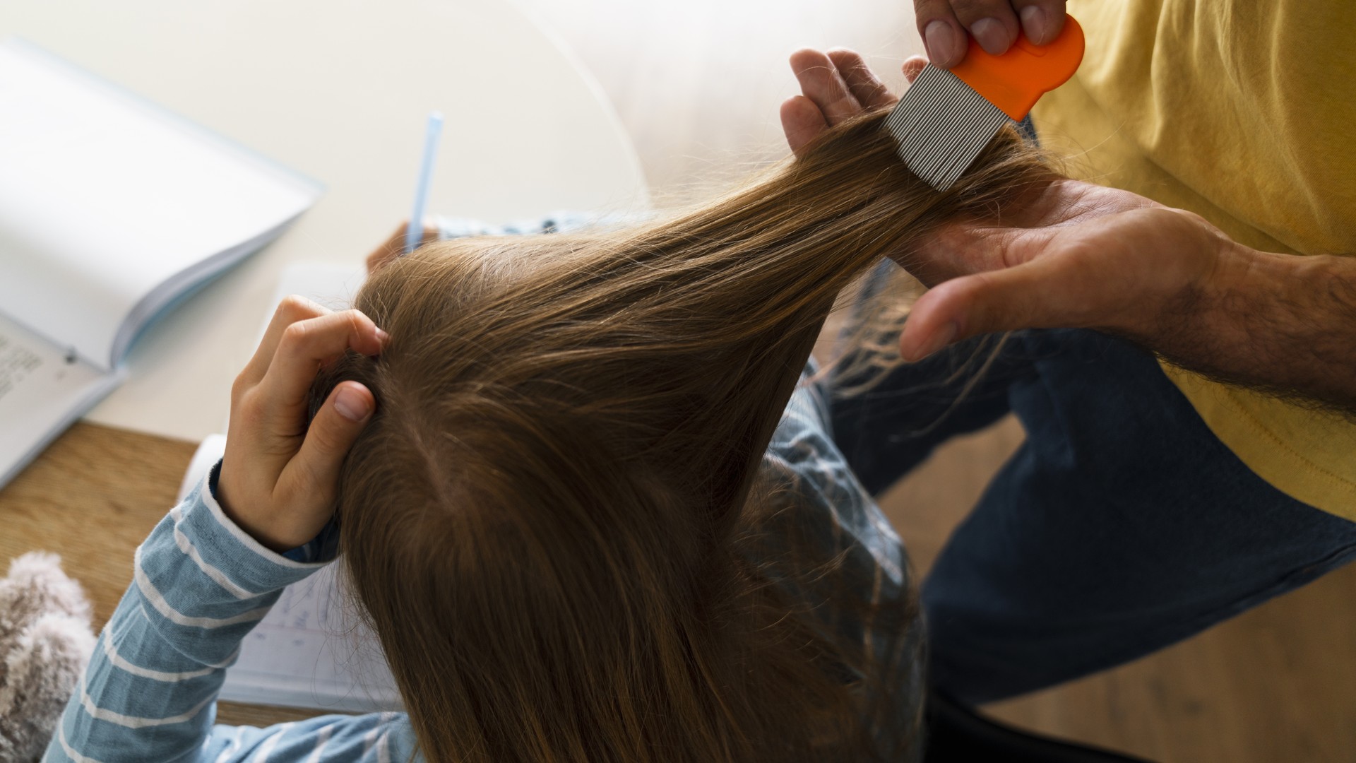 Nobody Examines the Teenager for Lice Anymore featured image