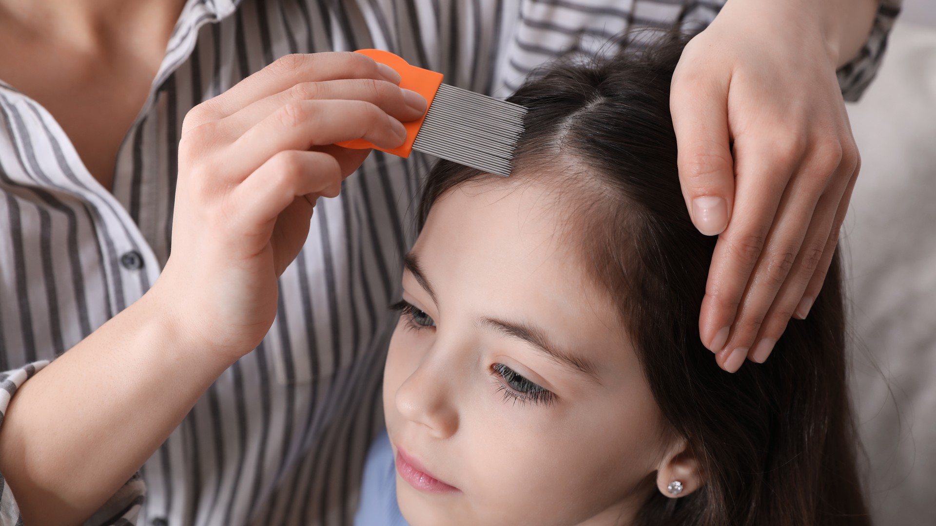 One Comb, Four Heads, and the Order That Decides It featured image