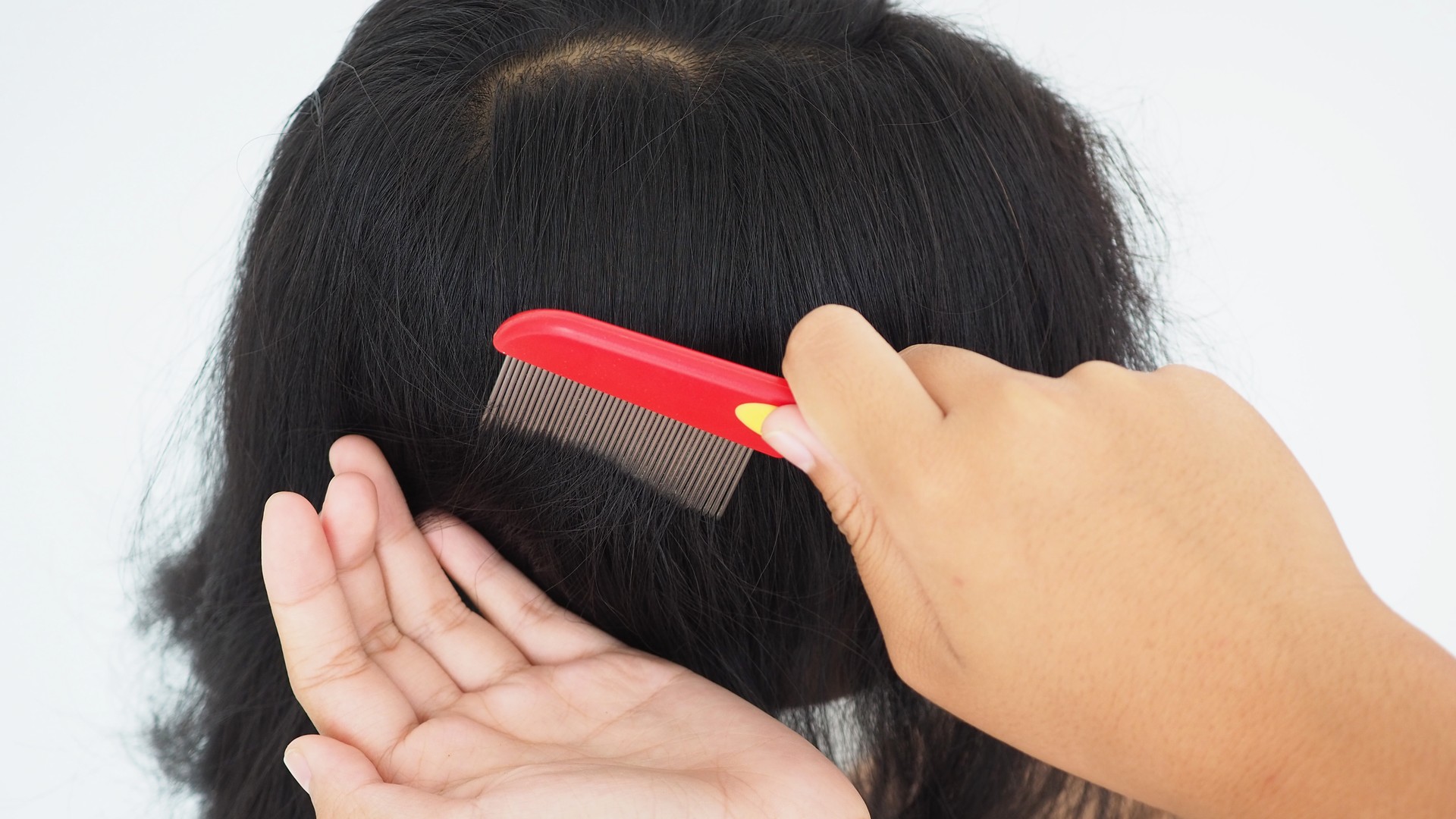 Upgraded: Do Lice Prefer Certain Blood Types?