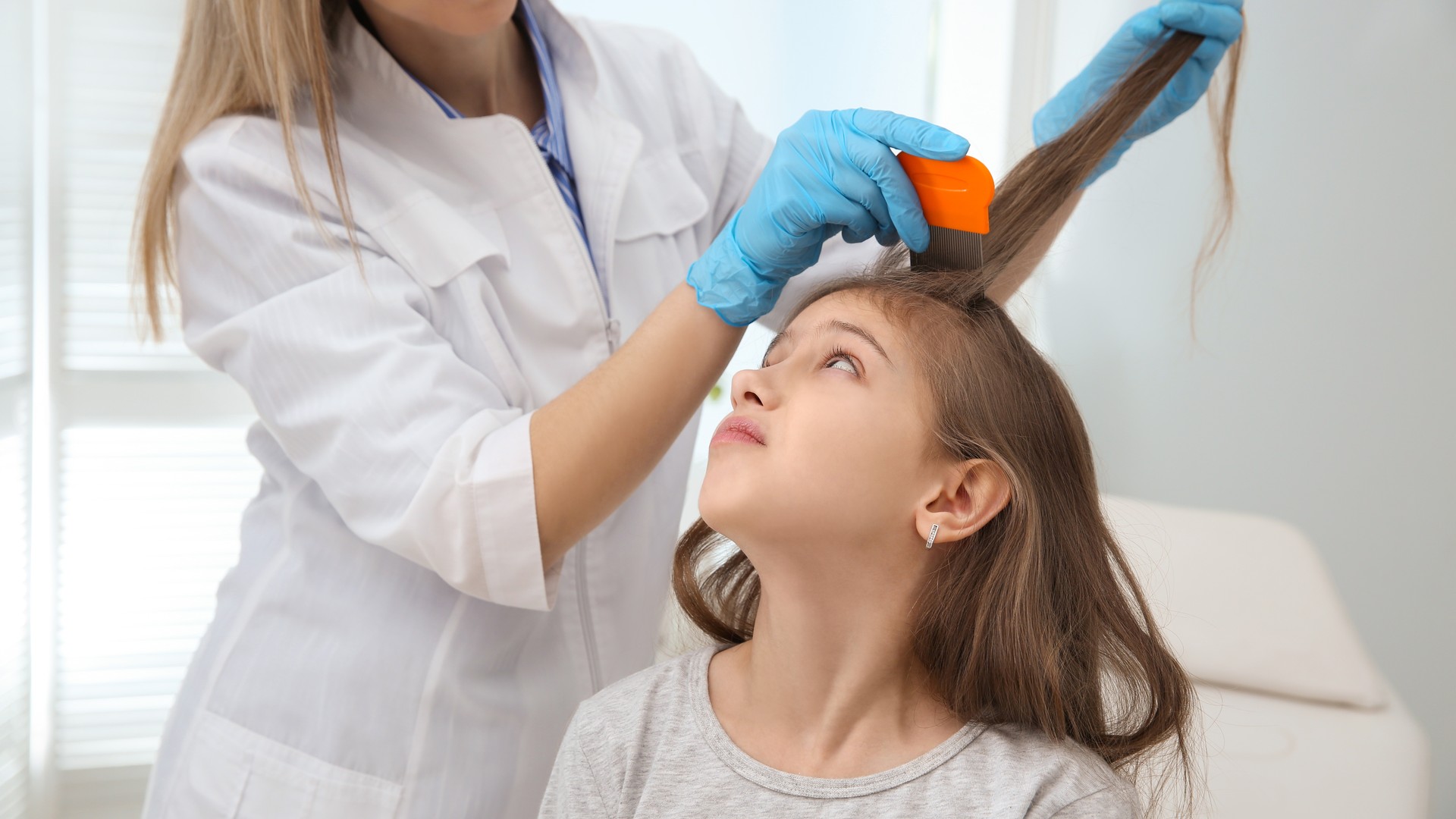 Upgraded: Sea Lice On Boca Beaches: Is It Actually Head Lice?