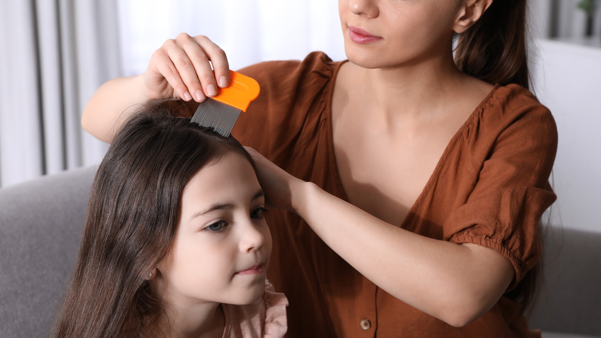 Upgraded: When Are Lice No Longer Contagious After Treatment?